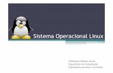 Palestra - Sistema Operacional Linux · Criar melhorias Ideais diferentes Filosofias diferentes • A primeira distribuição ... • Leva em torno de 2 dias para um sistema pronto.
