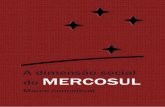 A dimensão social do MERCOSUL£o-social-do-MERCOSUL-_web... · Parabenizo a toda equipe do ISM pelo trabalho realizado e recomendo a ... O marco conceitual da dimensão social do