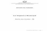 Lei Orgânica Municipal - riachodoscavalos.pb.gov.brriachodoscavalos.pb.gov.br/images/arquivos/documentos/1377194408.pdf · IX - número de Vereadores proporcionais à população