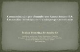 Maiza Ferreira de Andrade - cetem.gov.br · ... fora do local de trabalho (Tavares, ... riscos da sociedade no contexto da análise de riscos ... Slide 1 Author: Maiza