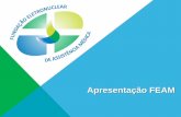 Apresentação FEAM - Associação Brasileira de Energia ... · a vítimas de acidentes envolvendo radiação ionizante fonte: Unidade de Saúde do Trabalhador CNAAA CMRI - Centro