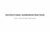 estrutura administrativa - SLIDE - TDB/VIA administrativa - SLIDE.pdf · Adotar estrutura administrativa enxuta (evitar a criação de muitos órgãos) A estrutura administrativa