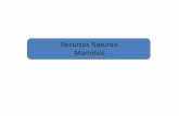 Recursos Naturais Marinhos - Geotourism brazil, geoturismo ... didatico/Recursos do mar.pdf · Recursos Naturais Marinhos . Recursos marinhos “Recursos do mar são todos os recursos
