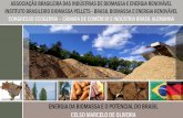 ENERGIA DA BIOMASSA E O POTENCIAL DO BRASIL CELSO MARCELO DE OLIVEIRAaz545403.vo.msecnd.net/uploads/2015/10/celso_oliveira.pdf · biomassa, como madeira ou lixo com 7% de toda a energia