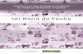 Lei Maria da Penha - Prefeitura de São Paulo · Secretaria de Políticas para as Mulheres Presidência da República Brasília 2012. SECRETARIA DE POLÍTICAS PARA AS MULHERES Via