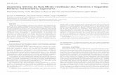 Anatomia Interna da Raiz Mésio-vestibular dos Primeiros e ...files.bvs.br/upload/S/0104-7914/2011/v20n52/a2602.pdf · pela diversidade de métodos utilizados. ... 95,2% das raízes