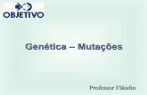 Genética – Conceitos Básicos - Professor Fláudio ... · ... (cor amarelada visível ... a não disjunção dos cromossomas durante a anáfase 1 da ... arredondado da face, presença