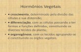 Hormônios Vegetais - colegiosacramentinas.com.br · Hormônios Vegetais •• crescimento, determinado pela divisão das células e sua distensão; •• diferenciação, com as