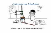 Química da Madeira - UFPR · Caule/tronco Seiva Bruta Seiva Elaborada ... FUNÇÕES DAS CÉLULAS DE FOLHOSAS • CONDUÇÃO DE ÁGUA ... grandes e de forma arredondadas nas suas