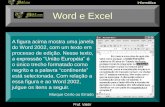 Word e Excel - Curso Sólon Concursos · do Word 2002, com um texto em processo de edição. Nesse texto, a expressão “União Européia” é o único trecho formatado como negrito