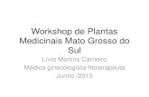Workshop de Plantas Medicinais Mato Grosso do Sul · Pimenta dos monges , Pau d’ Angola •Contém um diterpeno com atividade inibitória da prolactina –vitexilactona •Progesterona
