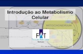 Introdução ao Metabolismo Celular - jvasconcellos.com.brjvasconcellos.com.br/fat/wp-content/uploads/2012/09/Aula-04.pdf · O calor ou energia térmica é a energia cinética associada