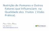 Nutrição de Pomares e Outros Fatores que Influenciam na ...brasil.ipni.net/ipniweb/region/brasil.nsf... · - Genética - Clima - Poda - Efeito dos Macro . Elementos. ... variabilidade