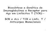 Biossíntese e Genética de Imunoglobulinas e Receptor para ... · Biossíntese e Genética de Imunoglobulinas e Receptor para ... sobre tumores fetais. ... Slide 53 /54 Transplant