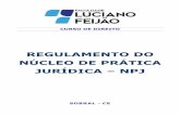 REGULAMENTO DO NÚCLEO DE PRÁTICA JURÍDICA NPJflucianofeijao.com.br/novo/wp-content/uploads/2016/01/...Juridicas.pdf · CAPÍTULO X – DO CARTÓRIO SIMULADO 09 TÍTULO III –