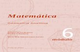Matemática - vestibular1.com.br · Matemática 6 módulo ... e freqüentar o ensino superior é a maneira mais efetiva de ... As técnicas da Geometria Analítica desempenham um