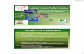 O Papel dos Sistemas Agroflorestais na Mudança Climática ...katoomba/documents/events/event41/Rugnitz... · Carbono da vegetação sobre o solo e subterrâneo ... 3/18/2010 10 60