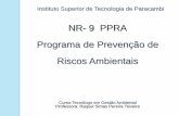 NR- 9 PPRA Programa de Prevenção de Riscos Ambientais · avaliaÇÃo ambiental deverÃo ser obrigatoriamente ... prevenÇÃo da saÚde e a integridade fÍsica dos ... exemplo de