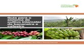Guia para o cultivo intercalar de bananeira eafricasoilhealth.cabi.org/wpcms/wp-content/uploads/2016/07/... · Anexos: Materiais de extensão rural sobre pragas e doenças da bananeira