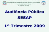 Audiência Pública SESAP 1º Trimestre 2009 · 519 folders disponibilizados 112 testes anti-HIV e VDRL realizados. Prefeitura da Estância Balneária de Praia Grande Secretaria de
