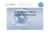 3ª Aula: Fertilização in vitro Cultivo de Embriões · Fertilização in vitro e Cultivo de Embriões 3ª Aula: Priscila M. M. de Leon Doutoranda PPGB Agosto, 2011 Universidade