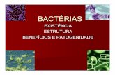 BACTÉRIAS - Educacional · BACT ÉRIAS Graça às estruturas simples, bactérias podem sobreviver em todos ambientes da terra. Podem ser encontrados por exemplo no ar, no solo, na