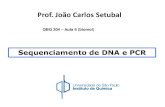 Prof. João Carlos Setubal - Instituto de Química- USP · Sequenciamento de DNA e PCR ... A etapa laboriosa de clonagem e seleção de clones ... Slide 1 Author: Joao Carlos Setubal