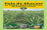 Folder Polo Abacaxi - biblioteca.incaper.es.gov.brbiblioteca.incaper.es.gov.br/.../item/52/1/Folder-Polo-Abacaxi.pdf · Ampliação da área plantada com a cultura do abacaxi, nos