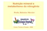 Nutrição mineral e metabolismo do nitrogêniofelix.ib.usp.br/pessoal/marcos/Forma_Funcao/PDFs/AULAS TEORICAS... · Metabolismo do nitrogênio Sintetase da Glutamina ... energético.