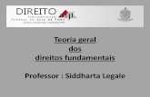 Teoria geral dos direitos fundamentais Professor ... Bibliografia sugerida â€¢ Ingo Sarlet, Eficcia