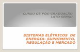 CURSO DE PÓS-GRADUAÇÃO LATO SENSU - fei.edu.br · • Sistemas de transmissão e distribuição de energia elétrica, redes aéreas e subterrâneas, regulação, medição e controle.