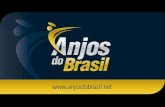 Pesquisa: os Investidores Anjo Brasileiros - Anjos do Brasil · Pesquisa: Quem são os Investidores Anjo Brasileiros . Perfil dos Investidores Anjo Masculino 98% Feminino 2% Sexo