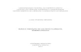 RUÍDO E VIBRAÇÃO NA COLHEITA FLORESTAL … · LUAN TEIXEIRA MENDES RUÍDO E VIBRAÇÃO NA COLHEITA FLORESTAL SEMIMECANIZADA . Monografia apresentada ao Departamento de Ciências
