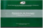 FOLHA DE FUNÇÃO - Biblioteca Digital do IPG: Página ...bdigital.ipg.pt/dspace/bitstream/10314/1091/1/diana pinto_5006461.pdf · Actividade Principal: Agência de Design, ... que