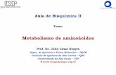 Aula09BioqII Metabolismo de Aminoácidos · nitrogenados: heme, aminas biologicamente ativas, nucleotídeos e coenzimas (NADH) Visão geral da degradação de Aminoácidos Ocorre