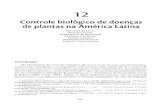 12 Controle biológico de doenças de plantas na América Latinaainfo.cnptia.embrapa.br/digital/bitstream/item/150052/1/2008CL-35.pdf · Caribbean and Latin America Regional Centre