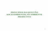 PRINCIPIOS DA QUESTÃO SOCIOAMBIENTAL NO AMBIENTE …professor.pucgoias.edu.br/SiteDocente/admin/arquivosUpload/10139... · 7 Lixo e Resíduos Sólidos - LIXO - origem latina (lix)