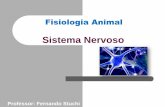 Zoologia e Histologia Animal · Introdução Em todos os animais (exceto os poríferos), as funções de controle e coordenação dos processos vitais é realizada pelo sistema nervoso.