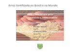 Arroz Fortificado no Brasil e no Mundo - agricultura.gov.br · A fome oculta ainda é um desafio importante para o Brasil Pág. 7 “Pode-se estimar que a prevalência de anemia em