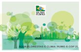 ÁGUA FLORESTAS E CLIMA: RUMO À COP 21 · da Mata Atlântica, revelam que os recordistas de ... Poluição compromete a qualidade da e disponibilidade de Água . ... sedimentação,