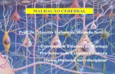 MALHAÇÃO CEREBRAL Prof. Dr. Marcílio Hubner de Miranda ... · Plasticidade Cerebral Conjunto de capacidades adaptativas do sistema nervoso central para modificar sua própria organização