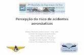Percepção do risco de acidentes aeronáuticos - ipev.cta.br§ões/SSV 2010 S6... · • Fatores Causais de Acidentes • Método proposto oEscalonamento Multidimensional ... Citado
