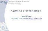 Departamento de Sistemas de Computação Universidade de São ... · •Projeto de algoritmos •Análise de dados e visualização ... –Um algoritmo pode analisar as atividades
