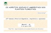 OS ASPECTOS SOCIAIS E AMBIENTAIS DOS PLANTIOS … · 2010-08-18 · São Miguel Arcanjo 0,691 0,769 11,3 ... Proteção de ecossistemas com importância cultural, histórica, ambiental.