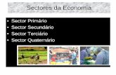 Sector Primário • Sector Secundário • Sector Terciário • Sector …linux.esfelgueiras.org/cno/cariboost_files/sectores_20da... · 2011-02-15 · o sector primário que fornece