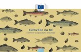 Assuntos Marítimos e Pescas - European Commission | Choose … · 2015-10-16 · A aquicultura é o setor da produção alimentar mundial que mais cresce. ... produtos do mar, ultrapassando