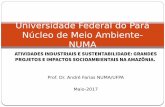 Universidade Federal do Pará - mpf.mp.br · documentos internacionais que versem ... Compreender os impactos e os conflitos socioambientais, que surgem com a entrada dos Grandes