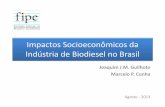 Impactos Socioeconômicos da Indústria de Biodiesel no Brasil · Trabalho Capital Terra Demanda Final Formação de capital Consumo das famílias Governo e out. ... Biodiesel: R$