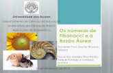 Universidade dos Açoressites.uac.pt/mea/files/2012/12/am1213-16C.pdf · casal dá origem a um novo casal de coelhos, ao ... O HOMEM DE VITRUVIO ... No Ser Humano. Bibliografia