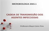 Apresentação do PowerPoint - ifcursos.com.br · (convulsão e irritabilidade). Dengue ...